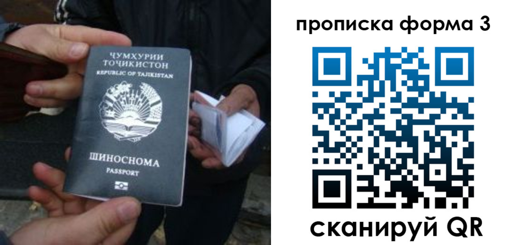 прописка 2025 в Ефремове